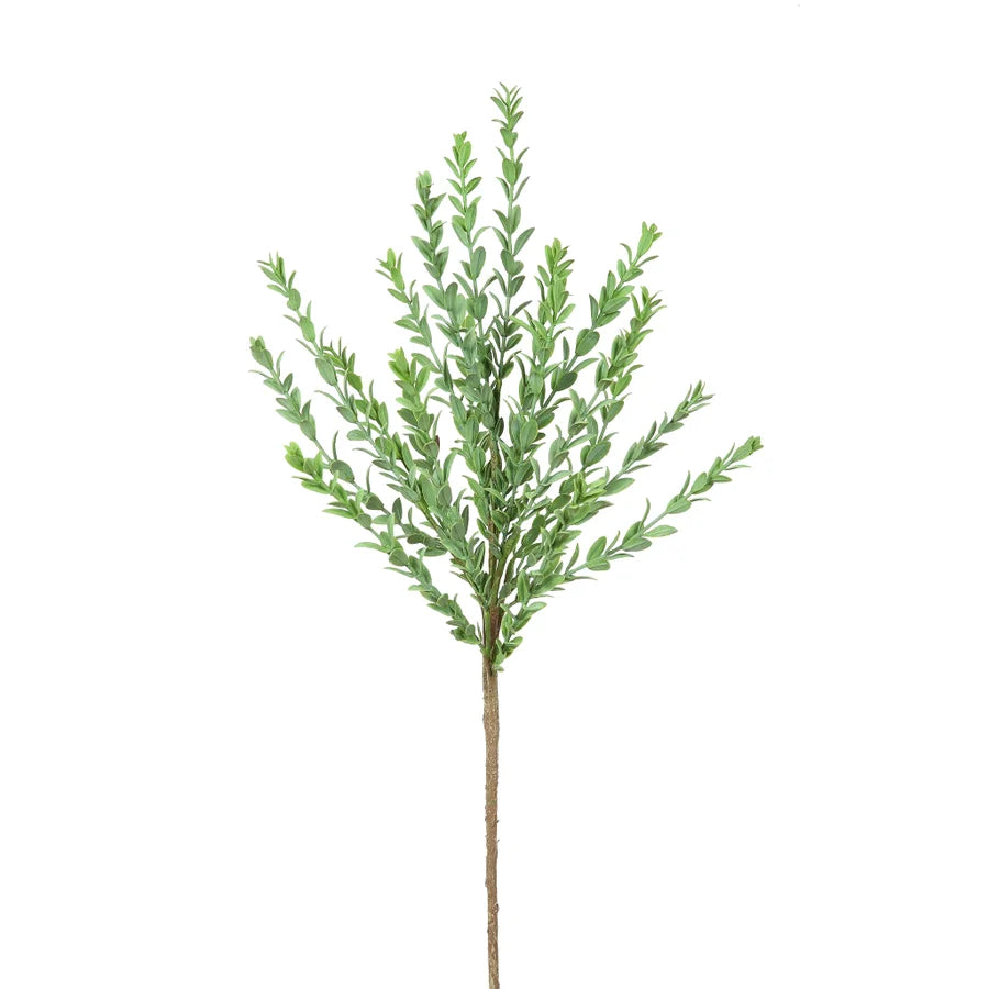 27" Boxwood Spray