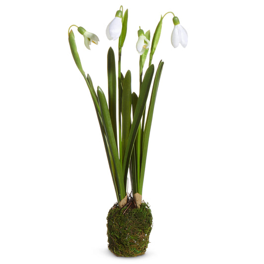 12" Snowdrop Plant Drop In