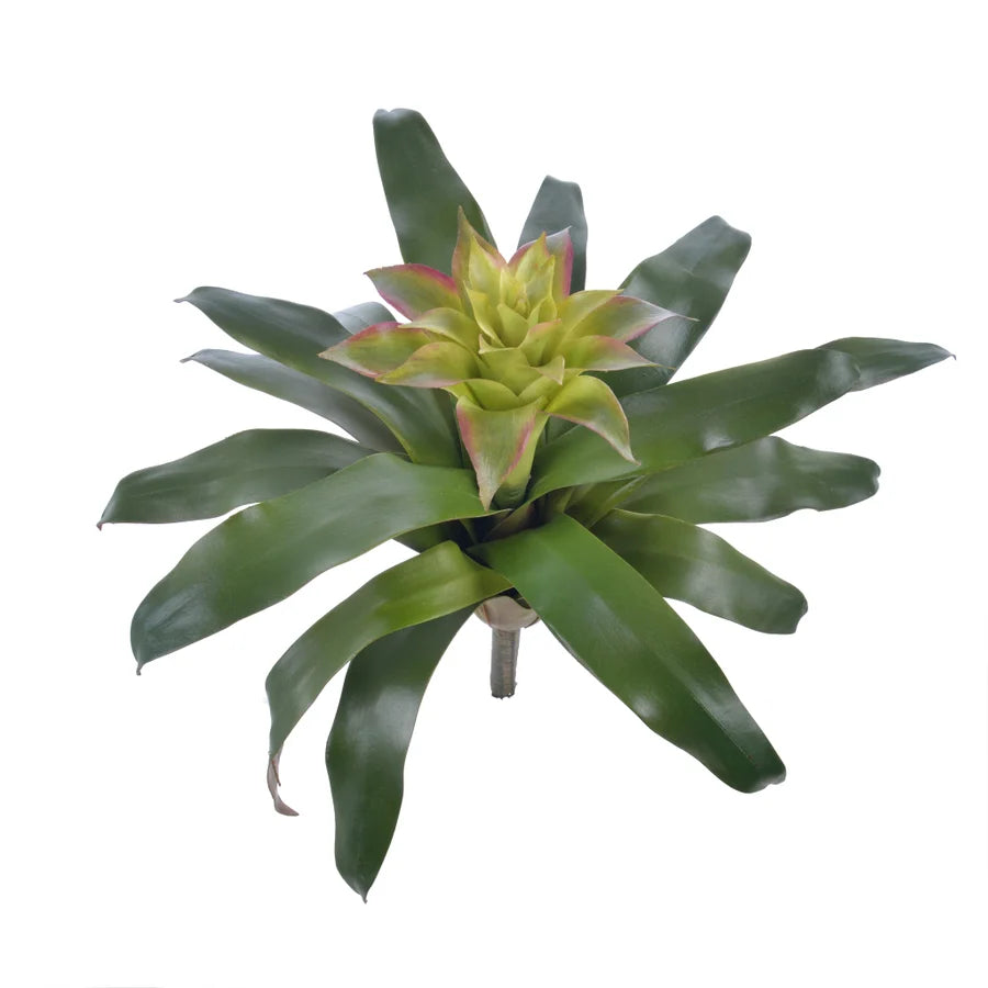 14” Bromeliad Stem/Drop-In, 3 Colors