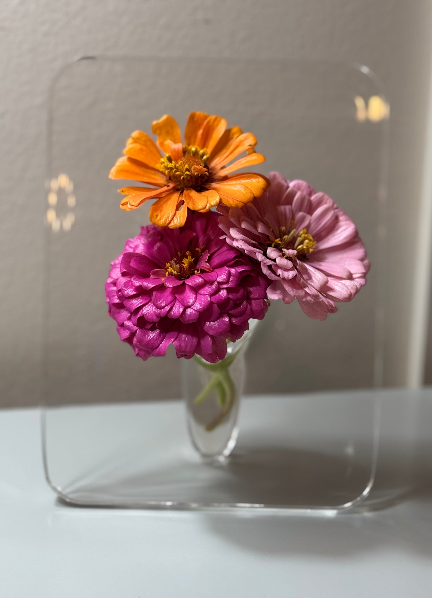 Frame Flower Vase