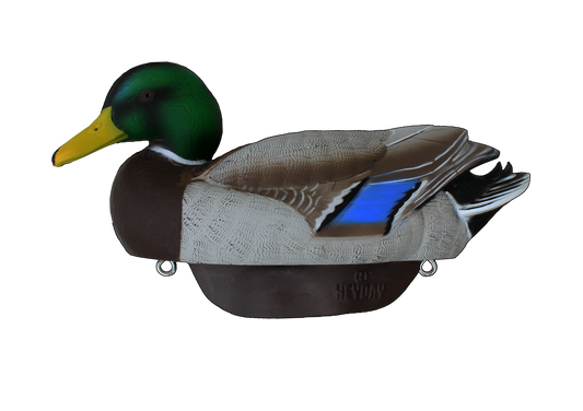 Heyday HydroFoam Mallard 6-Pack Decoys