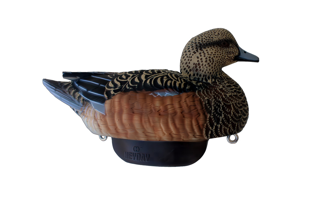 Heyday HydroFoam Wigeon 6-Pack Decoys