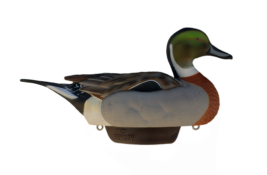 Heyday HydroFoam Pintail Mallard Hybrid 6-Pack Decoys