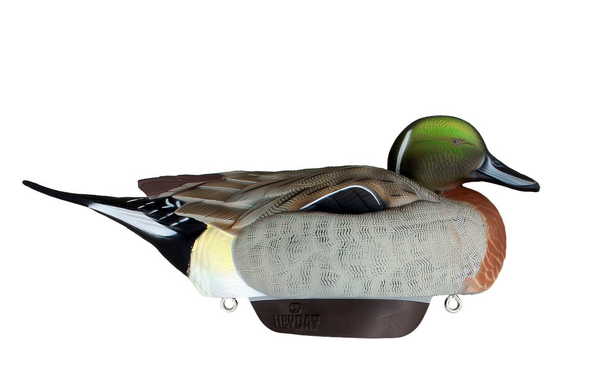 Heyday HydroFoam Pintail Mallard Hybrid 6-Pack Decoys