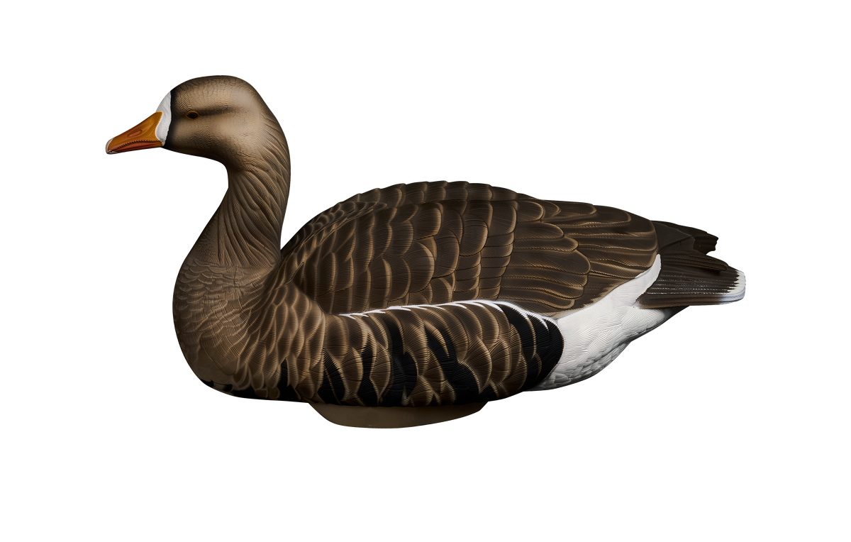 Heyday HydroFoam Specklebelly Geese 4-Pack Decoys