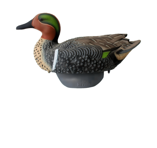 Heyday HydroFoam Green-Winged Teal 6-Pack Decoys