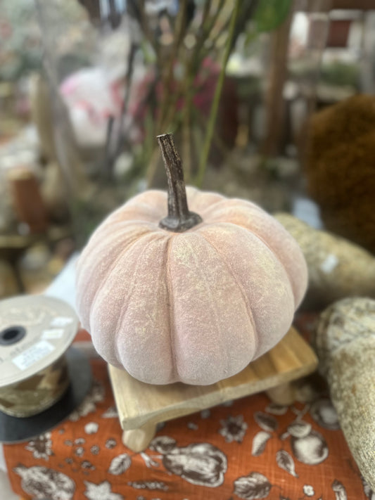 Velvet Pumpkin-Large