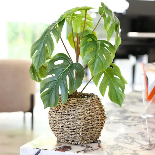 Split Leaf Basket