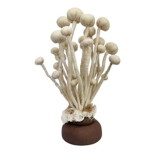 Enoki Mushroom Sculpture