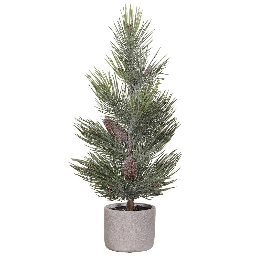 29" Frosted Pine Tree in Cement Pot