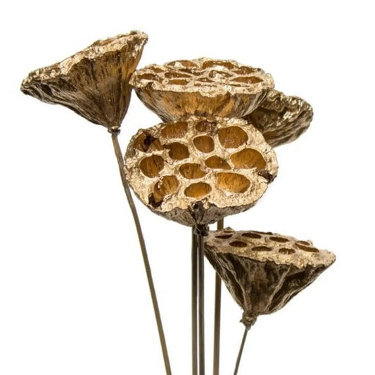 18" Golden Lotus Pod Picks