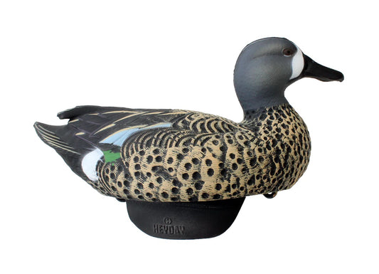 HEYDAY HydroFoam Blue-Winged Teal 6 Pack