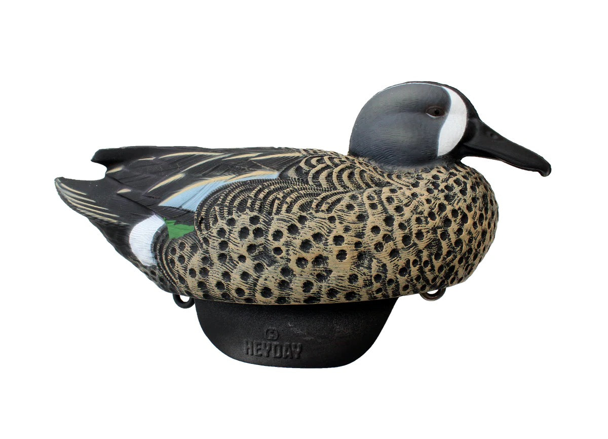 HEYDAY HydroFoam Blue-Winged Teal 6 Pack