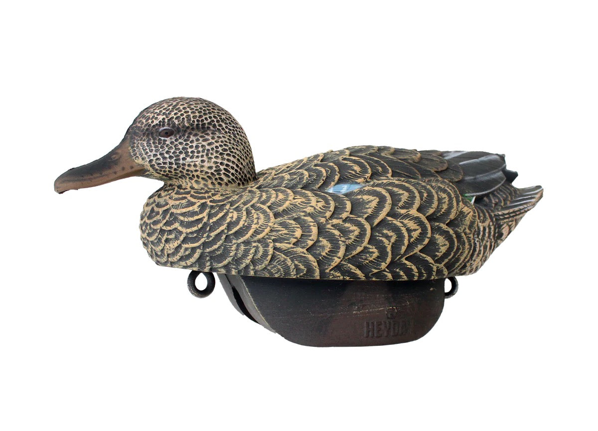 HEYDAY HydroFoam Blue-Winged Teal 6 Pack