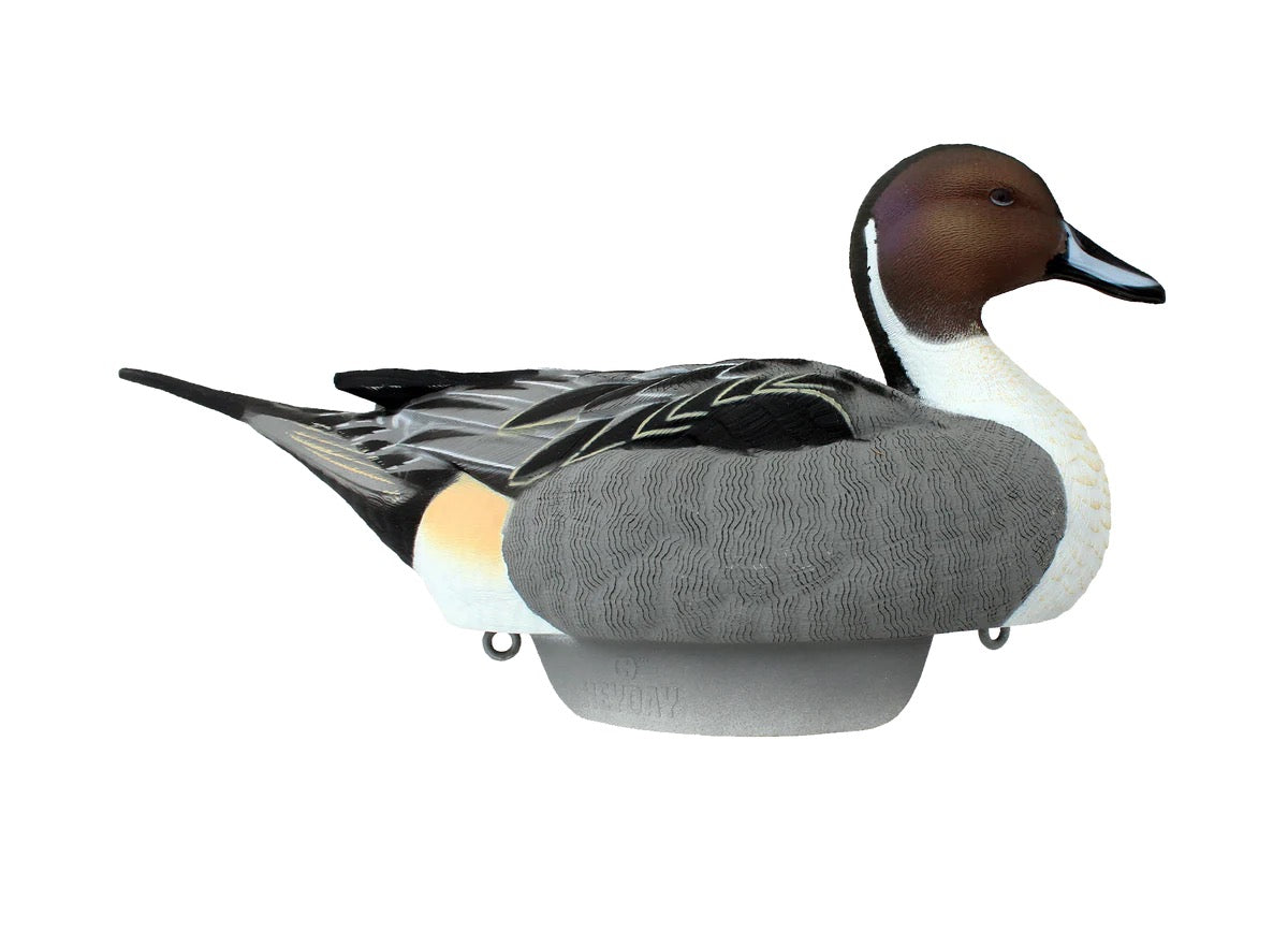 HydroFoam Pintails - Thumbnail 2