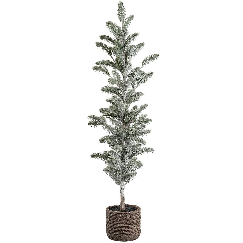 Snowed Spruce Tree in Cement Pot- 2 Sizes