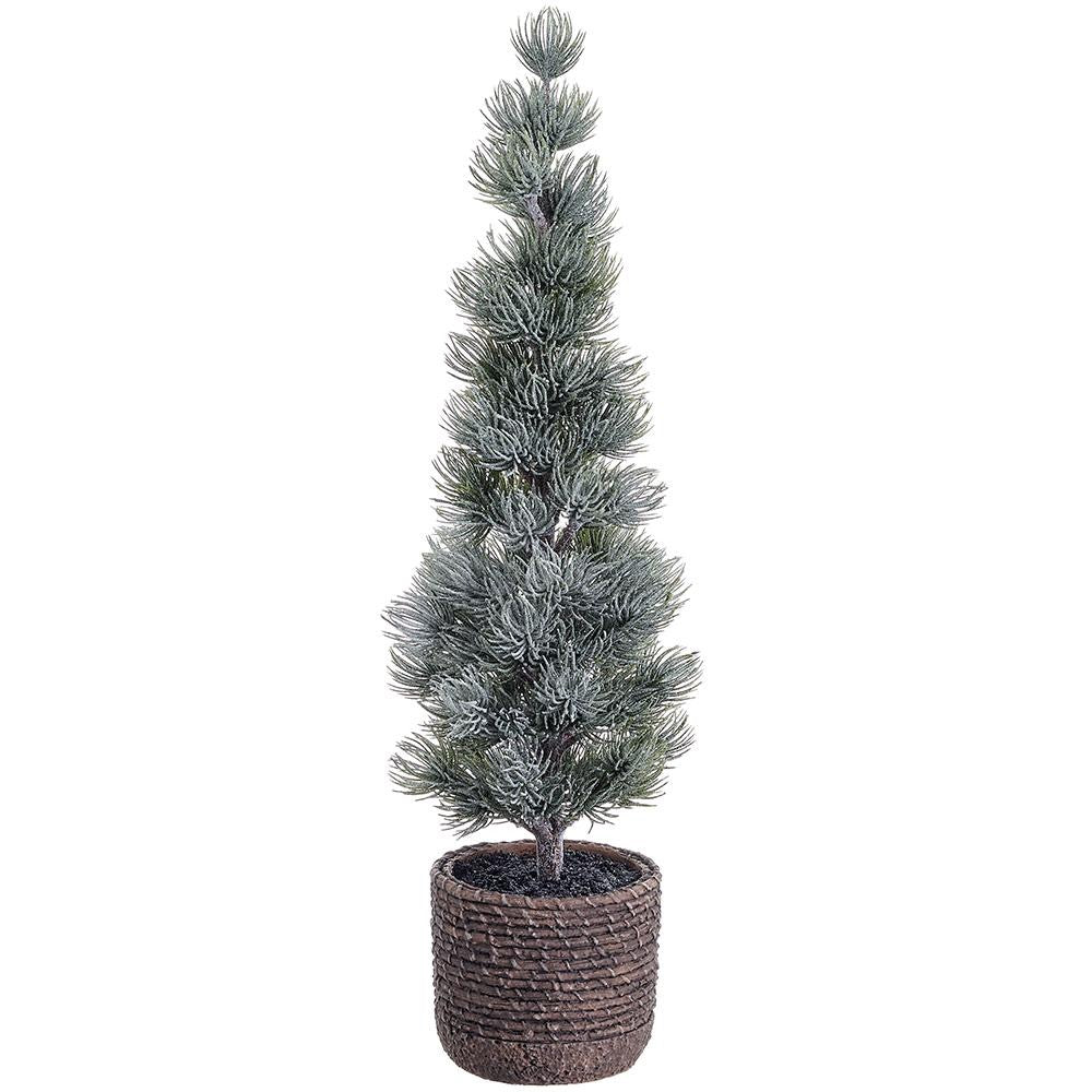 Snowed Spruce Tree in Cement Pot- 2 Sizes
