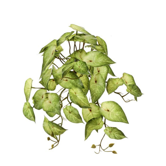 17” Real Touch Heart Syngonium Bush