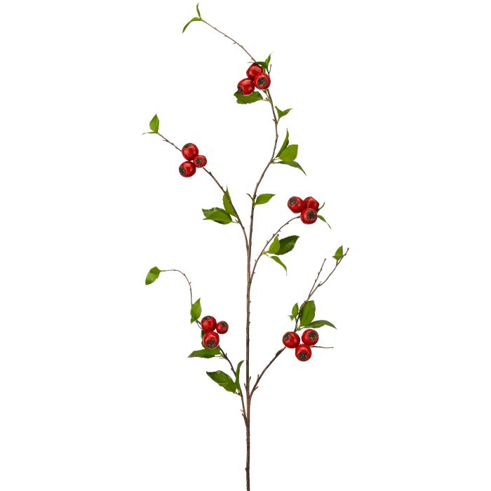 54" Northern Berry Spray