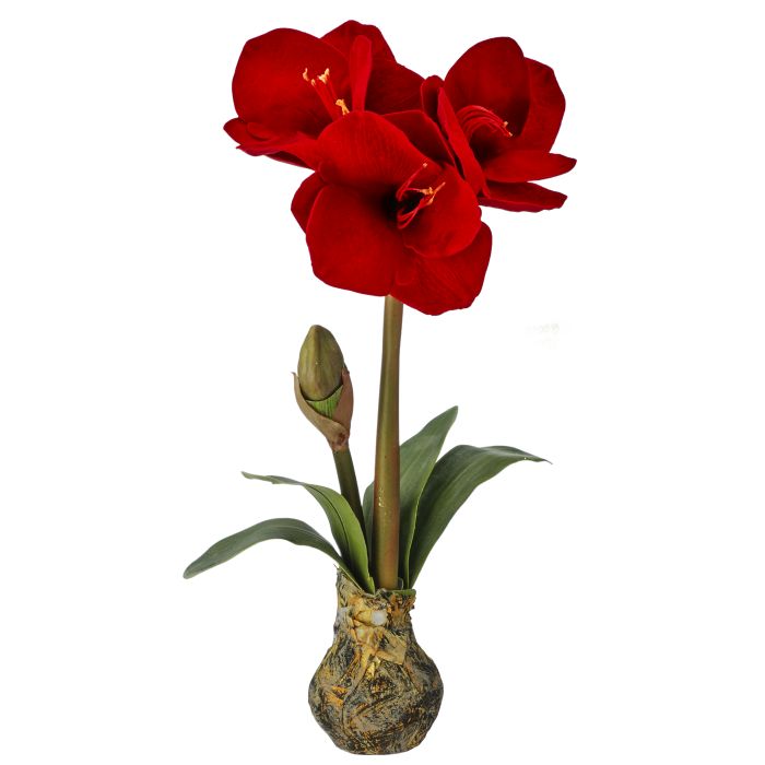 21" Amarylis Stem w/ Bulb