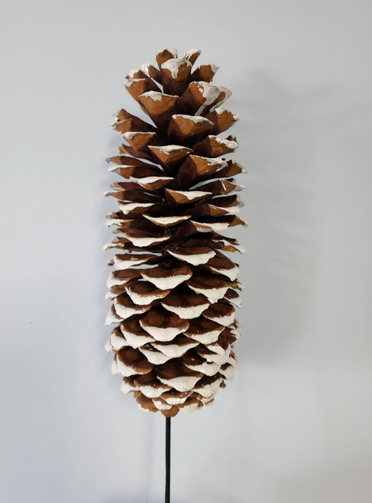 12" Sugar Pine Cone Pick-White Tipped