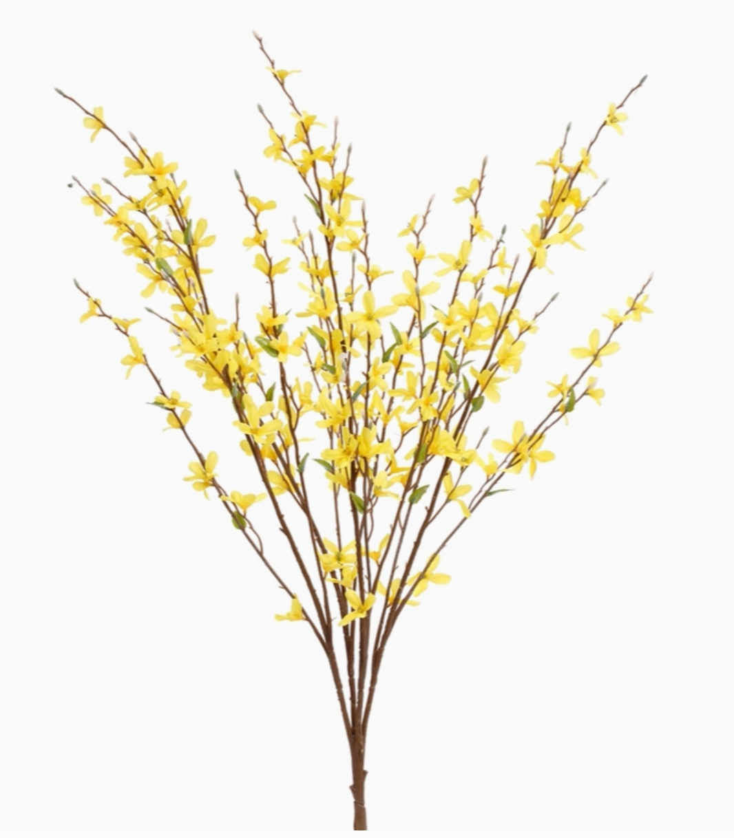 30” Forsythia Bush Spray