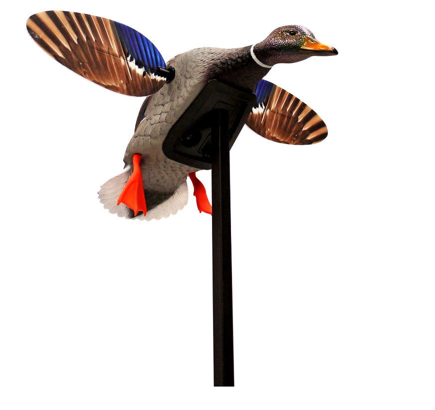 Mojo Outdoors- Elite Series Mini Mallard Drake (Remote Compatible- Not Included)