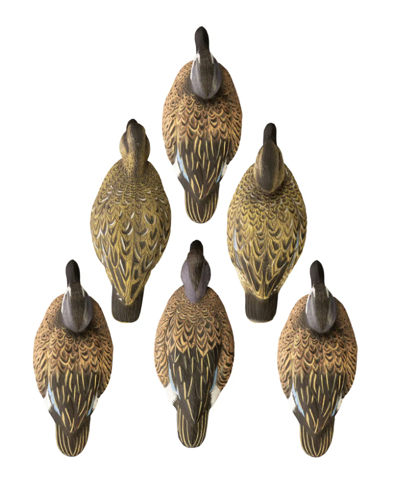 Higdon Outdoors Standard Blue Wing Teal Species-Multi Color Foam Filled 6 Pack