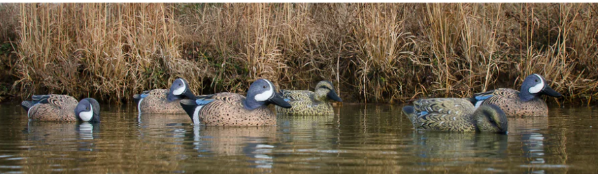 Higdon Outdoors Standard Blue Wing Teal Species-Multi Color Foam Filled 6 Pack