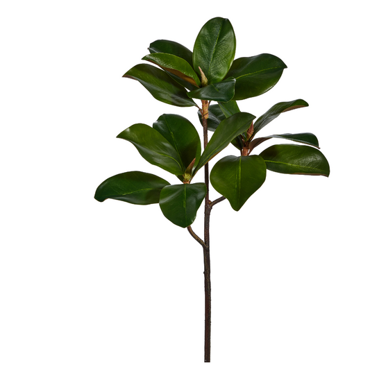 24" Magnolia Leaf Branch