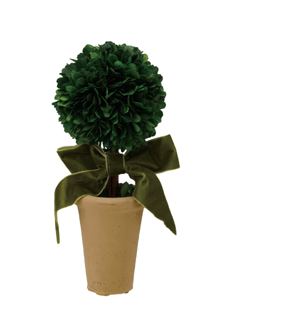 Dried Boxwood Tree in Terra-cotta Pot w/ Green Velvet Bow