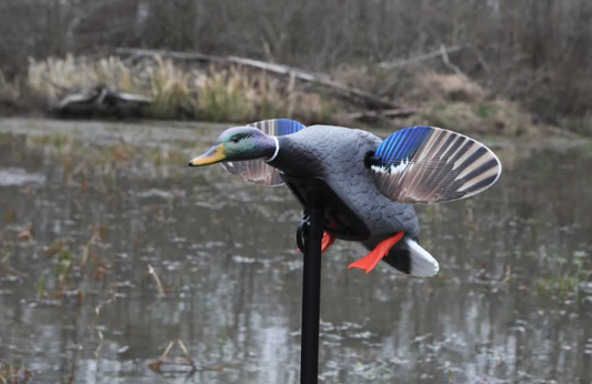 MOJO Mallard® Elite Series™ – Mini Mallard Drake (Factory Installed Remote)