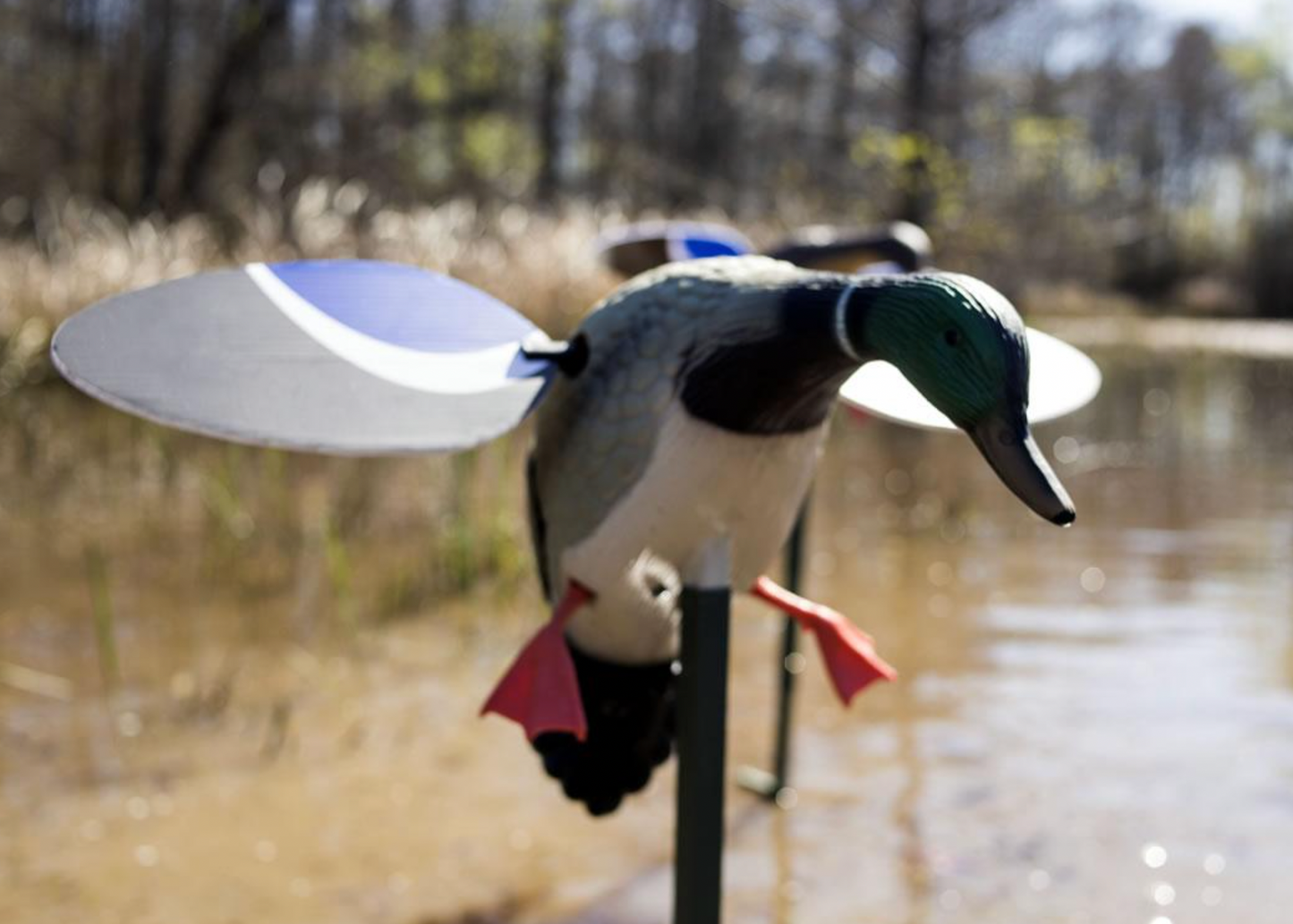 Baby MOJO Mallard® Drake Spinning Wing Decoy