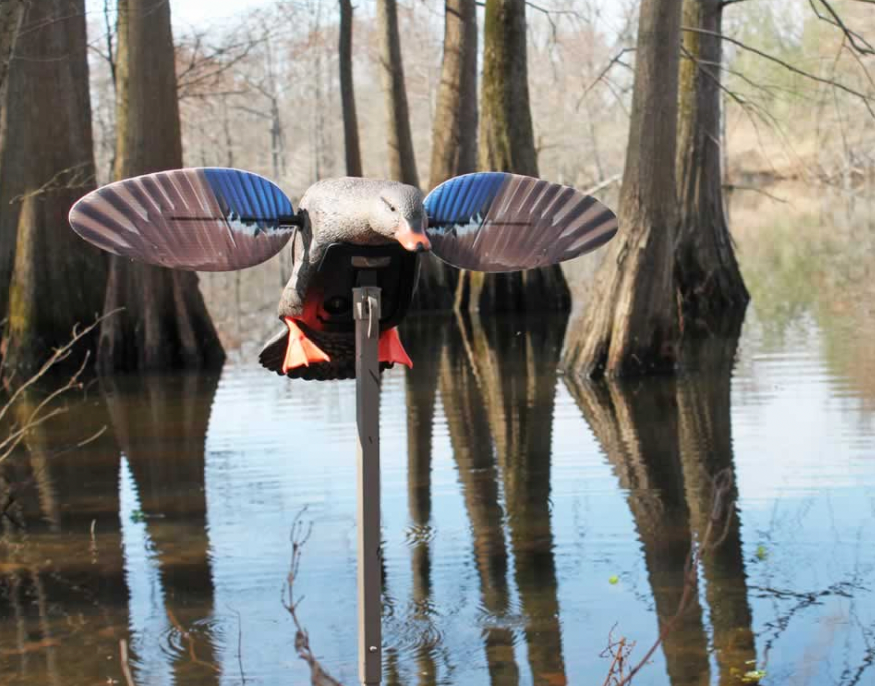 Elite Series Mini Mallard Hen - Thumbnail 5