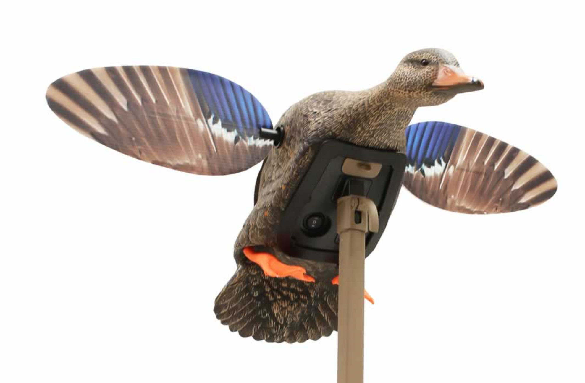 Elite Series Mini Mallard Hen - Thumbnail 3