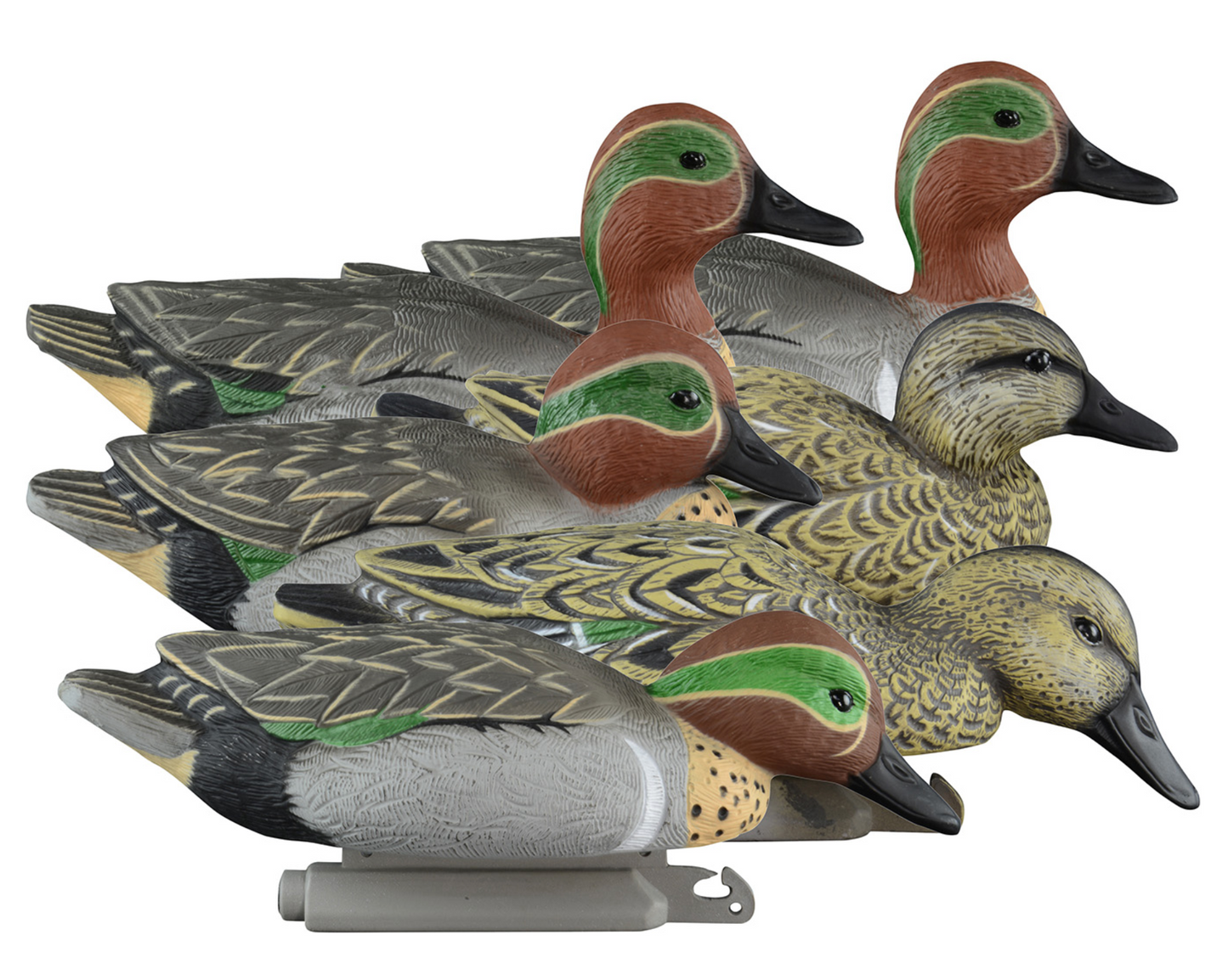 Standard Teal Green Wing Teal Species Multi Color Foam Filled 6 Pack