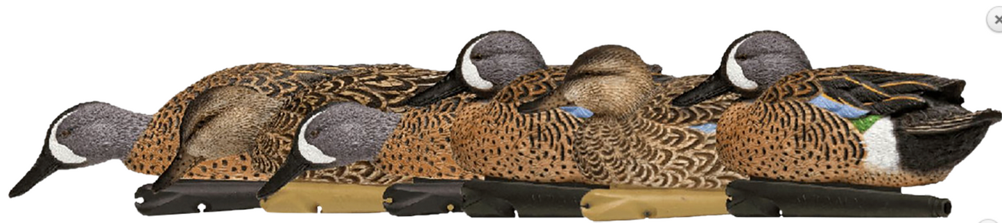 Avian X Topflight Blue Wing Teal Species Multi-Color