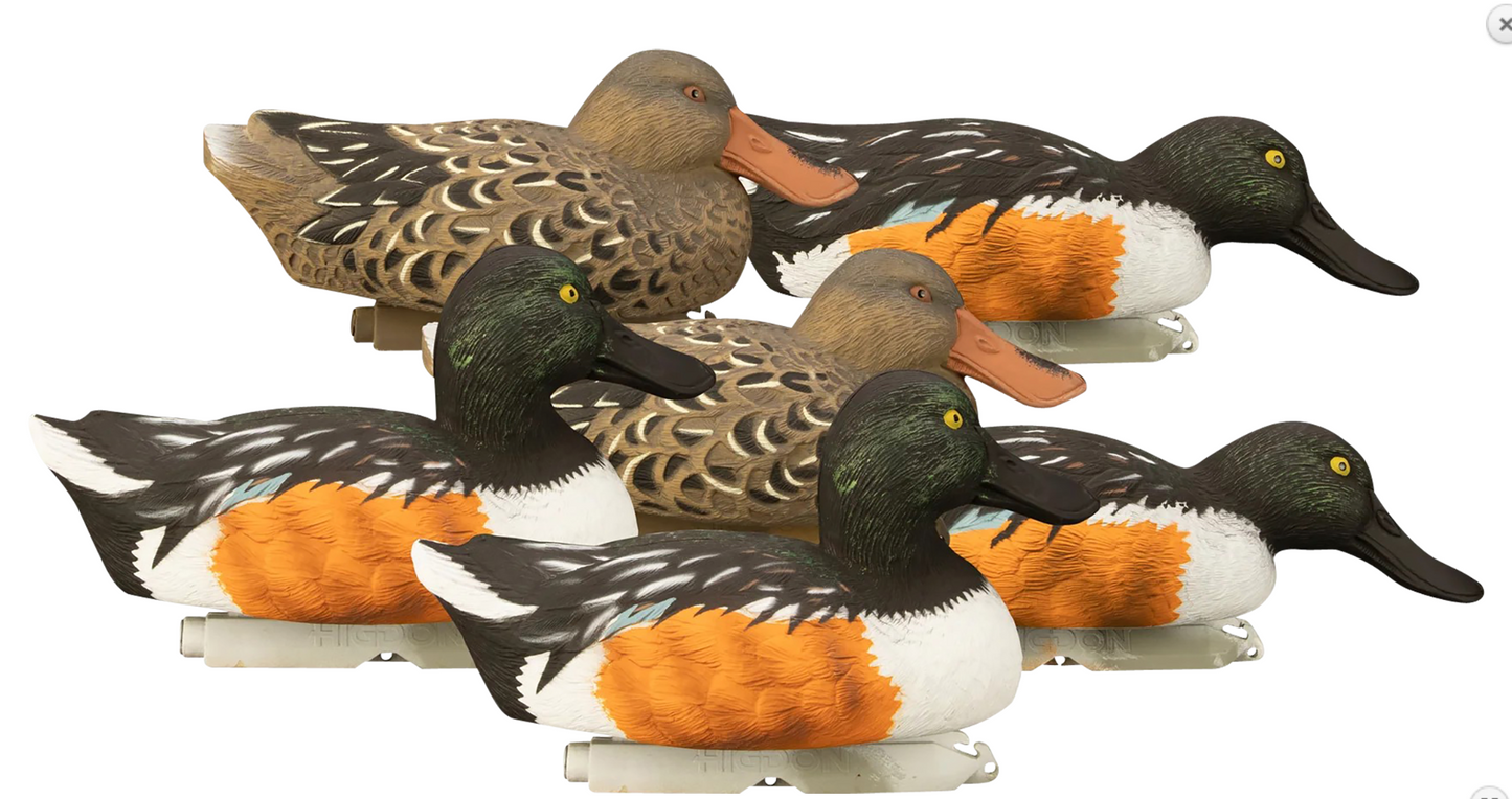 Higdon Outdoors Standard Shoveler Species Multi Color Foam Filled 6 Pack