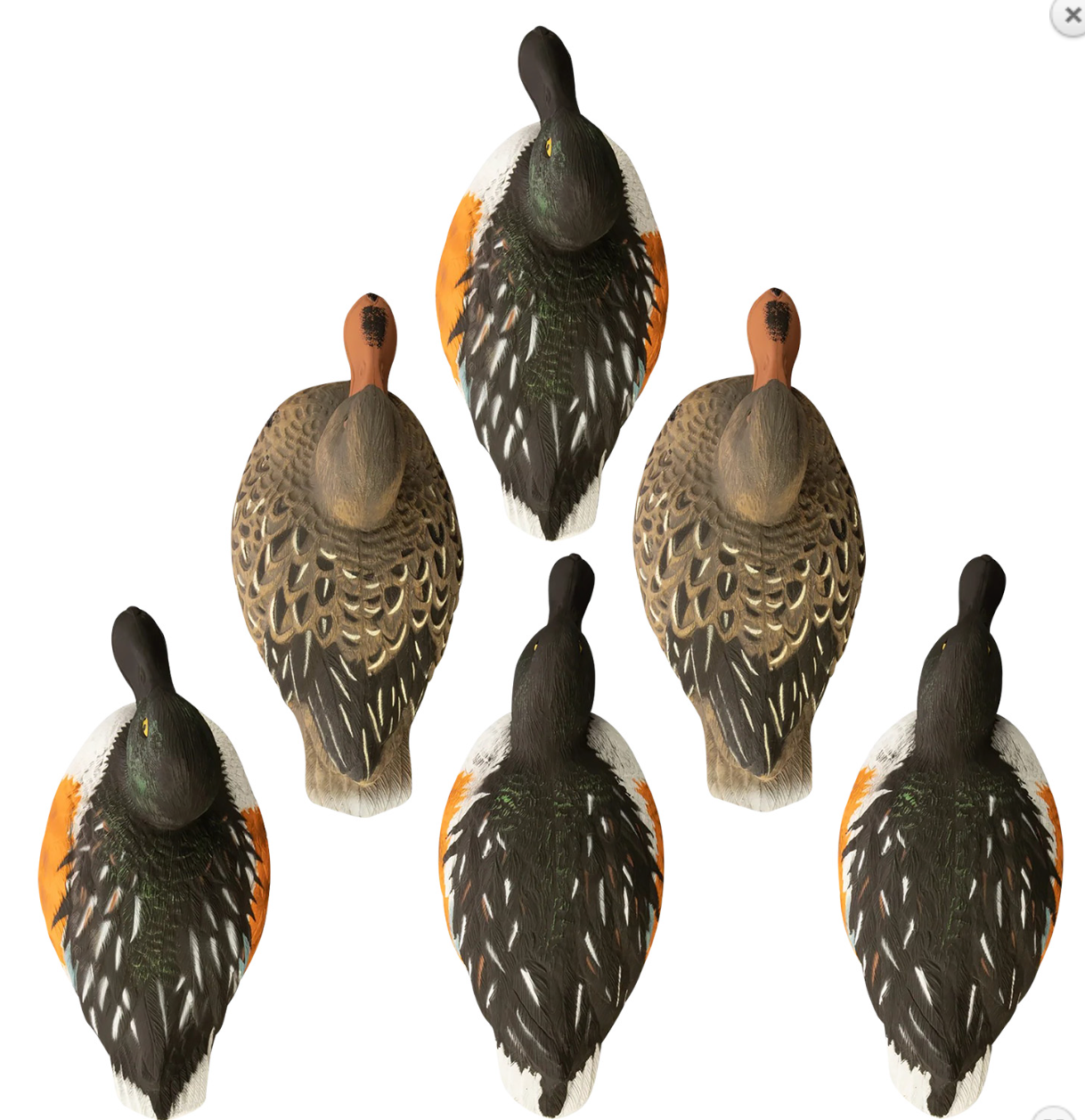 Higdon Outdoors Standard Shoveler Species Multi Color Foam Filled 6 Pack