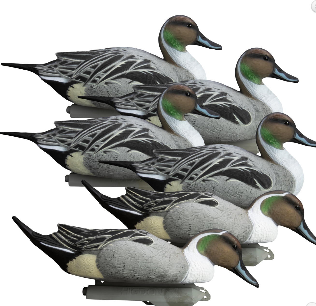 Higdon Outdoors Battleship Pintail Species Multi Color Foam Filled 6 Pack