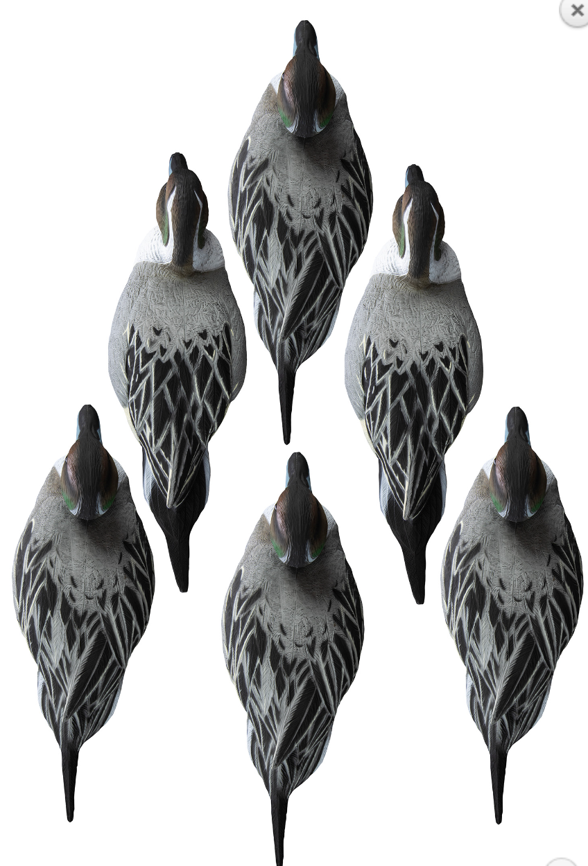 Higdon Outdoors Battleship Pintail Species Multi Color Foam Filled 6 Pack