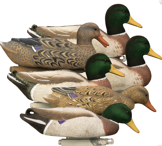 Higdon Outdoors Magnum Floaters Mallard Species Multi Color Foam Filled 6 Pack