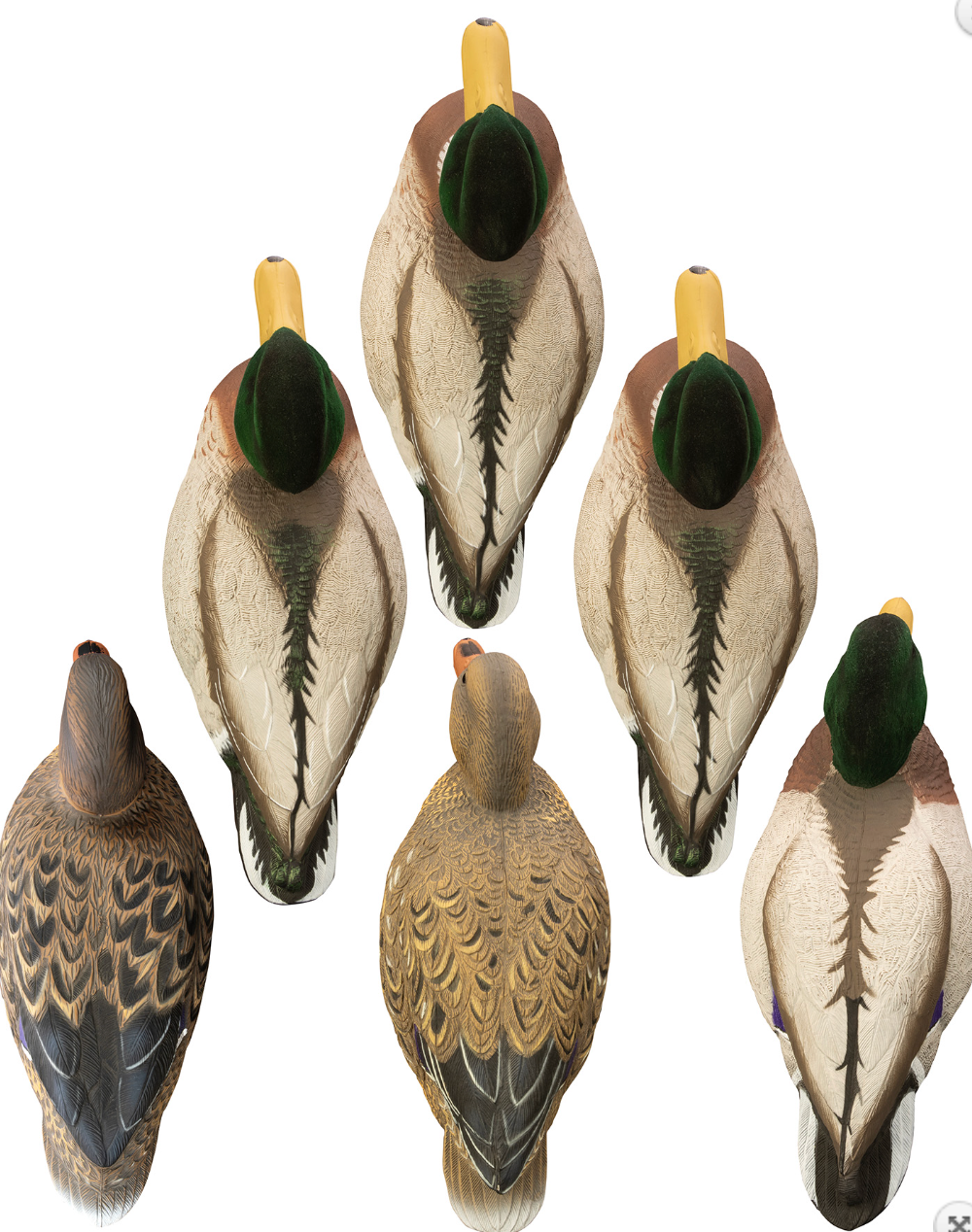 Higdon Outdoors Magnum Floaters Mallard Species Multi Color Foam Filled 6 Pack