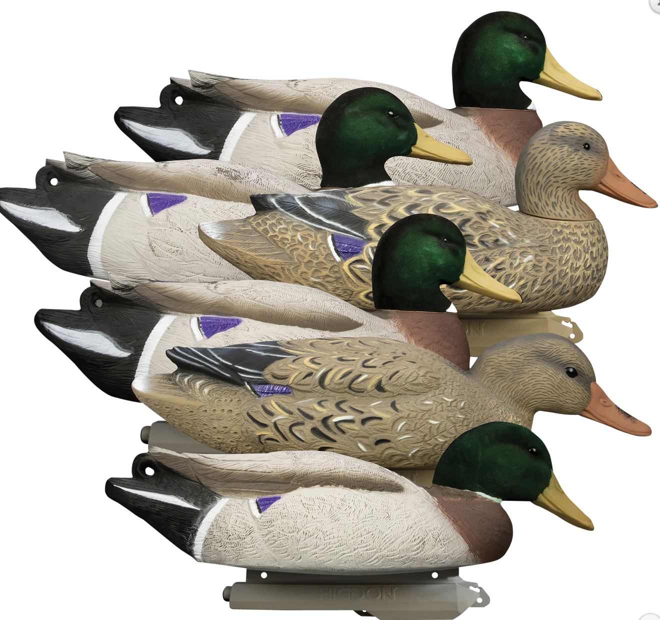 Higdon Outdoors Battleship Oversized Mallards Species Multi Color Foam Filled Features Flocked Heads 6 Pack