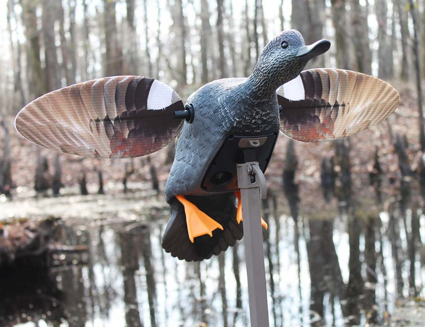 MOJO Elite Series Gadwall