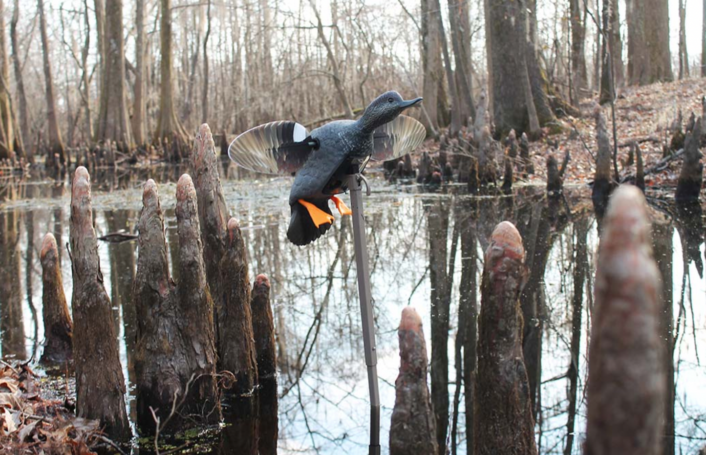 MOJO Elite Series Gadwall