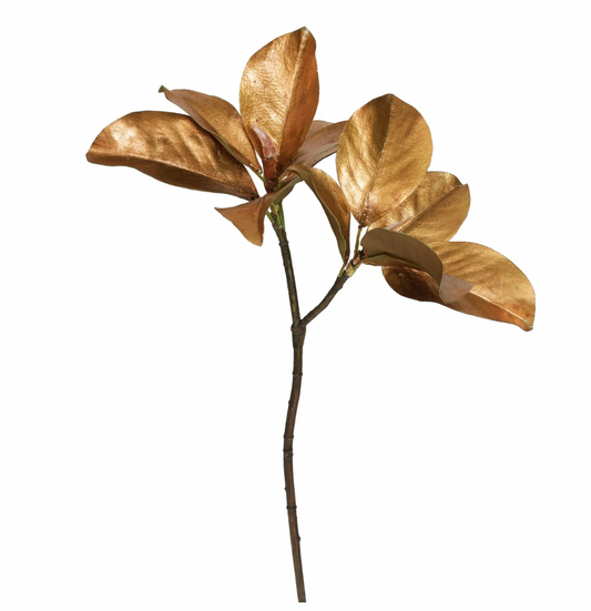 Magnolia Leaf Pick 25''