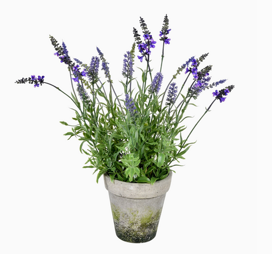 20" Artificial Lavender w/ Pot