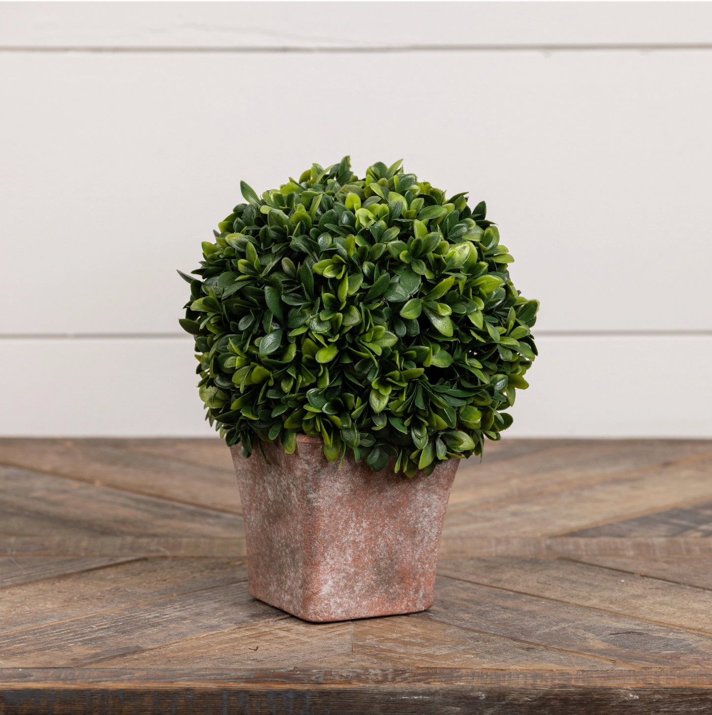 8.5" Botanical in Ceramic Pot