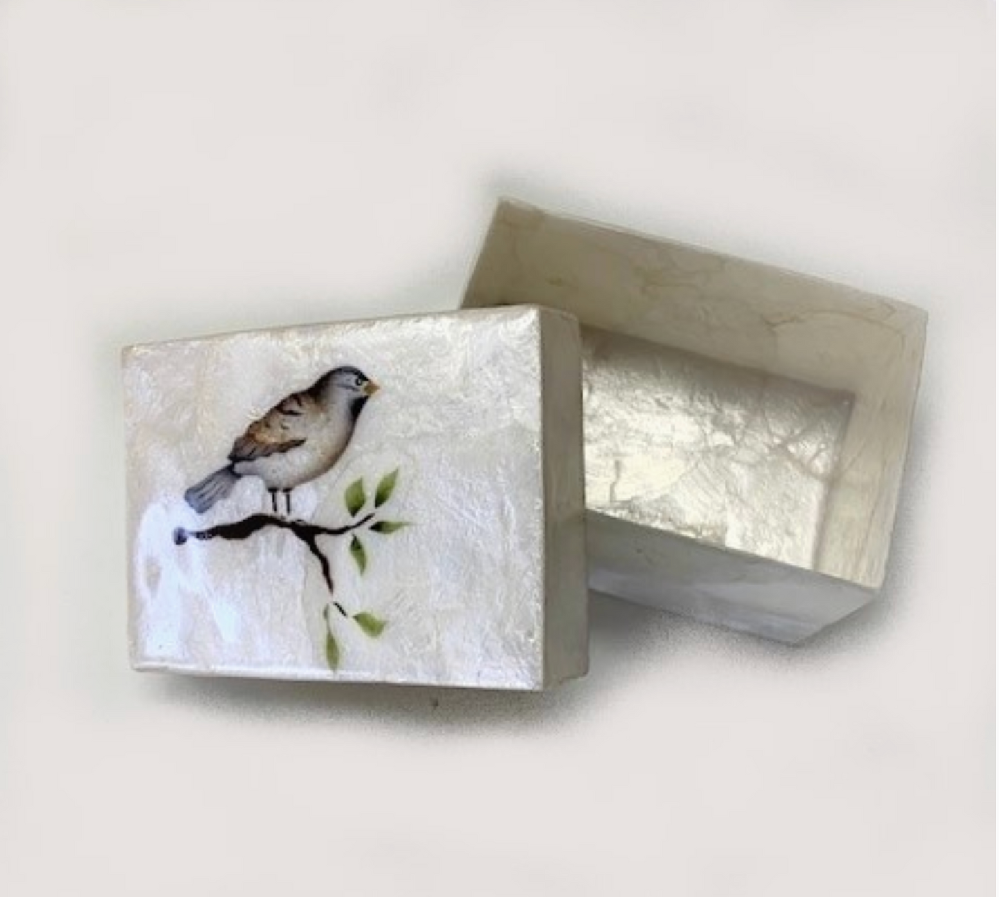 Capiz Serenity Bird Box